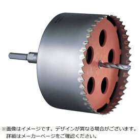 ミヤナガ｜MIYANAGA ミヤナガ 塩ビ管用コアドリル セット（SDSプラスシャンク） Φ170 PCEW170R