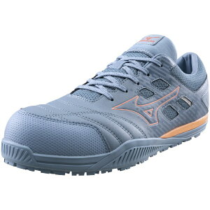 �y�G���g���[�ōő�2���|�C���g������b9/25�܂Łz mizuno�b�~�Y�m 24.5cm �j�����p ���S�C �I�[���}�C�e�B TDII11L �C���F3E����(�u���[�O���[×�R�[����) F1GA2300�yJSAA�E���ʍ�Ɨp(A��)�F��i �ϊ� 