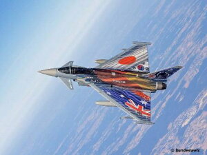 hCcxbRevell GmbH 1/72 hCcR [t@C^[EpVtBbNGNXN[VuGfBV@MtgZbg