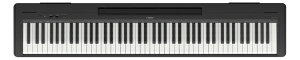 YAMAHAb}n dqsAm P-145B [88]