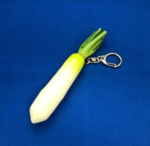 uTvbShiga Sample El̍HiTv L[`F[ 卪~j SIGA52218