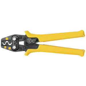 cm_bTSUNODA H V[gTP-RS