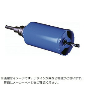 ミヤナガ｜MIYANAGA ミヤナガ　ガルバウッドコアドリル　セット　ストレートシャンク　Φ210 PCGW210 【メーカー直送・代金引換不可・時間指定・返品不可】