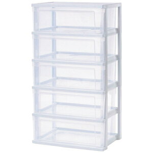 IRIS OHYAMAbACXI[} Ch`FXg@NSW545@5i NSW545 y[J[EsEԎwEԕisz