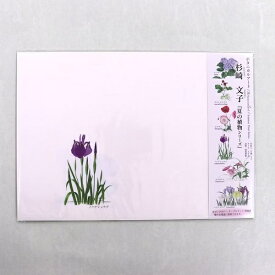 カミイソ産商｜KAMIISO SANSYOU ブックカバー 夏の植物シリーズ