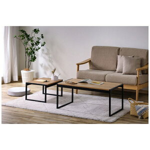 IRIS OHYAMAbACXI[} IRIS 103100 X`[t[Z^[e[u 900E550Zbg i` SFCT900NNT y[J[EsEԎwEԕisz