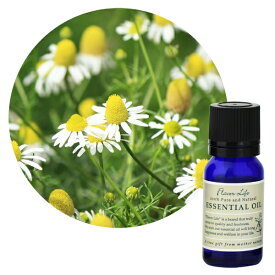 フレーバーライフ社｜Flavor Life フレーバーライフ エッセンシャルオイル カモマイル・ジャーマン 10mL