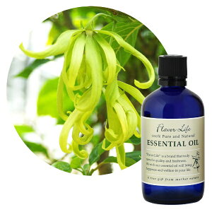 t[o[CtЁbFlavor Life t[o[Ct GbZVIC CC 100mL