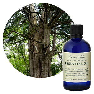 t[o[CtЁbFlavor Life t[o[Ct GbZVIC Ђ̂ 100mL