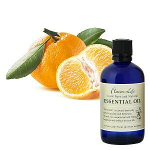 t[o[CtЁbFlavor Life t[o[Ct GbZVIC }_ 100mL