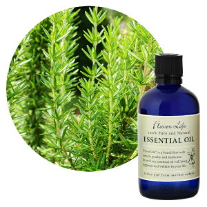 t[o[CtЁbFlavor Life t[o[Ct GbZVIC [Y}[ 100mL