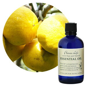 t[o[CtЁbFlavor Life t[o[Ct GbZVIC xKbgEFCF 100mL