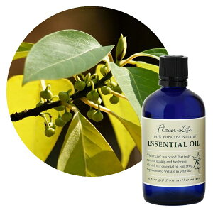 t[o[CtЁbFlavor Life t[o[Ct GbZVIC C`icFANxoj 100mL