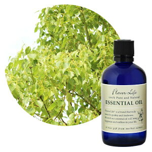 t[o[CtЁbFlavor Life t[o[Ct GbZVIC z[[t 100mL