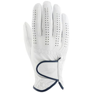 LXRbkasco yY E蒅p(p)zStO[u VL[tBbg M[(21cm/zCg) GF-23301Ryԕisz