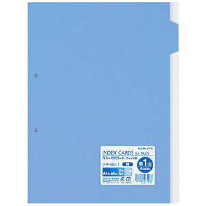 KOKUYObRN RN J[d؃J[h t@CpE5Ro A4|S 2 1RE 20 VL|60|1 61830028