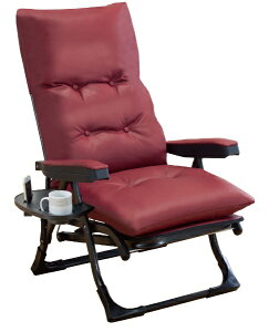 t@~[ECtbFamily-life NEW났̃NCjOA[`FA DXII Cbh 0411220