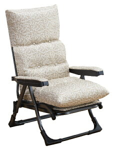 t@~[ECtbFamily-life NEW났̃NCjOA[`FA DXII }[Kbg x[W 0411270