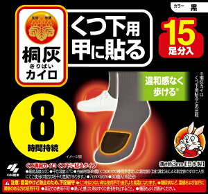 ѐbKobayashi ˊDJC p bɓ\ 15 