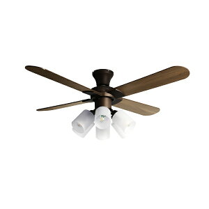 Life on Products�b���C�t�I���v���_�N�c Modern Collection �V�[�����O�t�@�� 6�� JAVALO ELF JE-CF015-BR [�����R���t��]