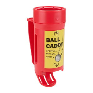 CgbLITE {[LfB C-171 bhi010j