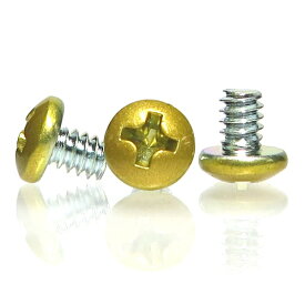 SSA｜エスエスエーサービス カラバリインチネジ [10個入] SN-020シリーズ ゴールド SN-020GD