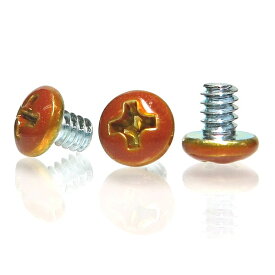 SSA｜エスエスエーサービス カラバリインチネジ [10個入] SN-020シリーズ オレンジ SN-020OR