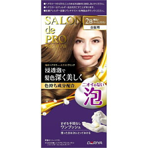 �_�����bDARIYA SALON de PRO�i�T�����h�v���j�A�̃w�A�J���[�E�G�N�X�g�����b�`�i�����p�j 2B ���邢�x�[�W���u���E��