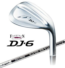 フォーティーン｜FOURTEEN ウェッジ DJ-6 Wedge メッキ #50　《DS91w スチールシャフト》硬さ(Flex)：ウェッジフレックス