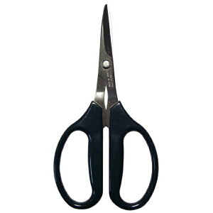 yGg[ōőSz|CgҌb11/5z nT~bMisuzu Hasami Ntg͂ 160mm 893