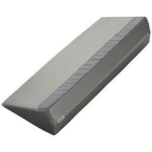 CmAbNrObINOAC LIVING T[eBpbhPRO Ag 600 DSP-600ih^Cvj Vo[