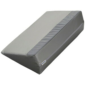 CmAbNrObINOAC LIVING T[eBpbhPRO Ag 400 DSP-400ih^Cvj Vo[