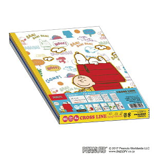 iJoVbNakabayashi B5 Ar 30 5P Xk[s[ [V[Y