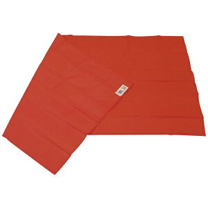 bNwXPAbLAC V[g}X^[ 39580037 80×160cm