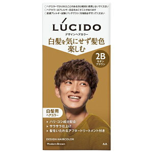 �}���_���bmandom LUCIDO�i���V�[�h�j�f�U�C���w�A�J���[ 1�g ���_���u���E��
