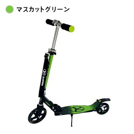 グローバルコネクション｜GLOBAL CONNEXION Kronos Comfort Scooter クロノスコンフォートスクーター(マスカットグリーン)KCS-001 Kronos マスカットグリーン KCS-001