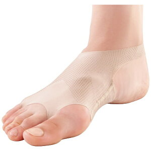 At@bNXbalphax ҂̑A[`T|[^[s^(22.5`25.0cm)