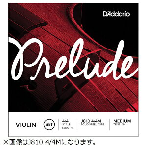 DfAddariob__I oCI PRELUDE A MED Prelude Violin Strings J812 3/4M