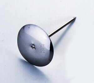 ^CK[NEbTIGER CROWN @t[lC