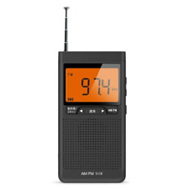 Mlabs｜エムラボ AM/FMデジタルラジオ meishin ブラック NSDR37 [ワイドFM対応 /AM/FM]