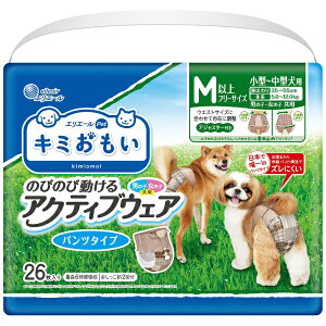 剤bDaio Paper L~ ̂т̂ѓANeBuEFA Mȏt[TCY 26