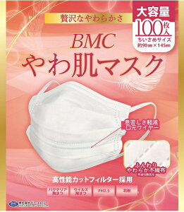 r[GV[bBMC BMC픧}XN߃TCY 100