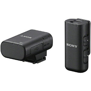 SONYb\j[ CX}CNz ECM-W3S