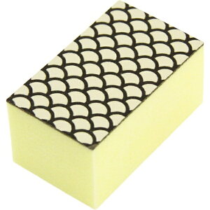 CYbWISE SD_Chpt Eq̉ꗎƂ SD-001