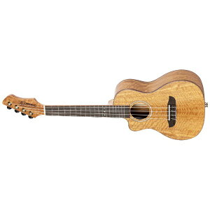 OrtegabIeK EN RT[gTCY^ HORIZON SERIES i` RUMG-CE-L