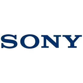 SONY｜ソニー WF-XB700用 イヤーピース L 1個 ブラック ZZ-XB700EP L S