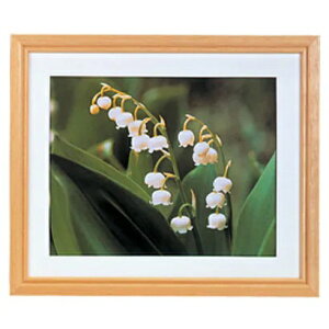 KingbLO ؐzEVEXY [Chl i`] LO king