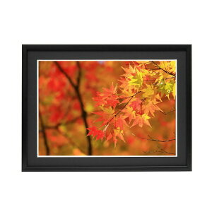 KingbLO MM05 [ؐz ubN A3 ˃KXgp] LO king