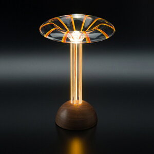 PLUMSCIENCE Glowide Fontana StripeX^hCg t@C GWF1000N-F