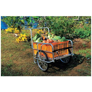 yGg[ōő2|Cgb11/18z JƁbTanimura TASSCOM@A~J[@~j TAN584 y[J[EsEԎwEԕisz